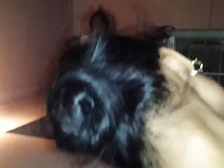 Igra američki zmaj porno, indijski odrasli dame i dečki porno